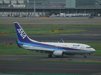 ANAグループ年末年始利用実績、国内線・国際線とも好調 画像