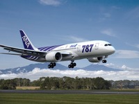ANA、787の国内専用機を2012年度から導入 画像