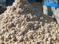 馬鈴薯かすからエタノール 双日など実証事業 画像