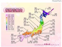 ［桜の開花］名所660か所と傾向 画像