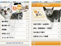 ［アプリ］ミケ、トラ、マンチカン、オシキャット… 画像