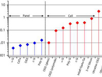 世界最薄・最軽量の有機太陽電池、東大とJSTが開発 画像