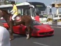 跳ね馬が本物の馬から痛すぎる一撃…［動画］ 画像