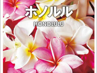 昭文社、海外ガイドブック「トラベルデイズ」創刊  画像