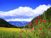 白馬でリゾートとEVを考えるミーティングを開催、8月27日・28日 画像