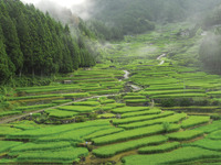 横浜ゴム、中国で生態助学プロジェクトを開始 画像