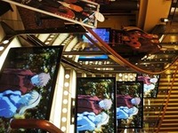 009 RE:CYBORG、大型プロモーション開始 画像