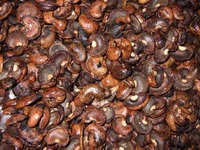 三菱自動車、カシューナッツの殻を原材料としたオイルフィラーキャップを開発  画像