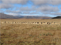 住友商事、南アフリカ風力発電で長期売電契約…総事業費200億円 画像