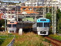 京王電鉄、2013年2月ダイヤ改定…相模原線に特急を新設 画像