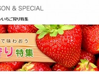 マピオン、いちご狩り特集を公開 画像