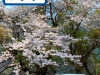 iOS向け車中泊スポット紹介アプリ…全国2700か所以上を掲載 画像