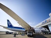 ANA、787型機の運航を1月31日まで見合わせ 画像