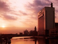 運輸省からの天下り、多いか少ないか……? 画像