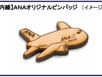 ANA エコトライアルフライト2013、期間限定で実施 画像