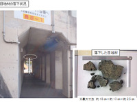 東北自動車道・茂呂橋で目地材が落下 画像