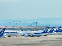 ANA、2014年春に490人程度を採用、客室乗務員を採用増 画像