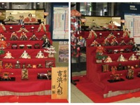 名鉄、中部国際空港駅にひな人形を設置 画像
