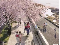 名鉄と犬山市、往復割引乗車券と犬山城入場券をセットにして販売 画像