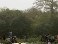 【パリダカ05】レグ14…三菱盤石、日産追い上げ 画像