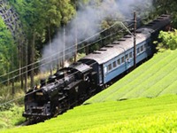 大井川鉄道、ホーム旧形客車オハニ36形の荷室をリニューアル 画像