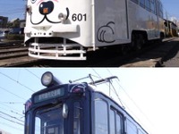 鹿児島市交通局、「白くま黒豚電車」の運行を開始 画像