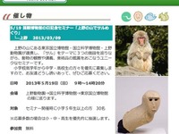 国際博物館の日記念セミナー「上野の山でサルめぐり」5/19 画像
