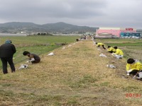 島原鉄道の廃線跡をヒマワリ畑に……地元住民など種まき 画像