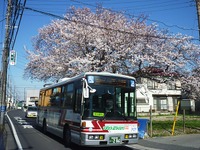 新京成バスグループ、通学定期券「バス通楽」を発売...3月25日より 画像