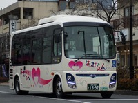 バスやタクシーのEV導入支援、21件を決定　国交省 画像