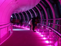 東京スカイツリー、夜桜空花見をイメージした桜特別ライティング　4月10日まで 画像