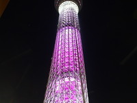 東京スカイツリーの累計来場者数が当初想定を150万人上回る554万人 画像