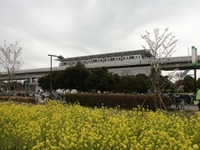 日暮里・舎人ライナー「春の花火と千本桜まつり」で増発 画像