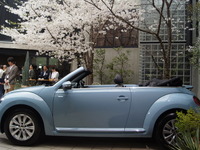 【VW ザ・ビートル カブリオレ 試乗】女性でも開放感を享受できる…竹岡圭 画像
