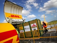 DHL、ワイドボディ機を追加投入して米国～アジアの輸送能力を増強 画像