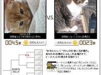 JAF、世界一かわいいっ!猫ごよみ作ろうプロジェクト…参加者募集 画像