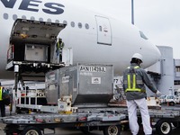 JAL、日本発国際線燃油サーチャージを引き下げ…5月から 画像
