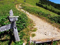 新緑の四国剣山へ、4月20日より臨時登山バス運行 画像