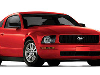 【COTY】アメリカとは異なるカナダのテイスト 画像