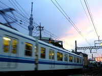 東武亀戸線「下町トレイン」…5本中2本、大師線と共通運用 画像