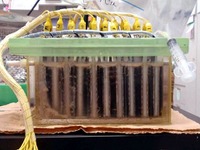 NEDOと東京薬科大など、廃水処理能力も申し分のない微生物燃料電池装置を開発 画像