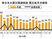 東日本大震災関連、負債総額の減少続く…5月 東京商工リサーチ 画像