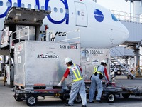 【JAL 預けたバッグの行方】ターンテーブルを回るバッグに細かな気配り 画像