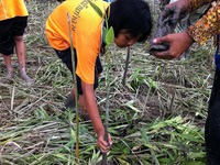 住友ゴム、日本政策投資銀行の環境格付で特別表彰 画像