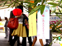 男女の波長が合えば個室で濃密タイム…THE 鉄コン in 日光・東京スカイツリー開催 画像