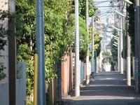 【都会の廃線をたどる】わずかに曲がる道路が駅の名残か…目黒蒲田電鉄奥沢線 画像