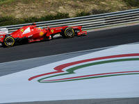 【F1】ポール・ヘンベリーがハンガリーGPプレビュー 画像