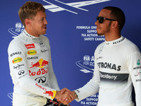 【F1 ハンガリーGP】予選…ポールはハミルトン、ベッテルは2番手 画像