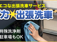エコピカ☆出張洗車、水を使わないディテーリングサービス開始…メッキ・樹脂パーツの艶出しなど 画像
