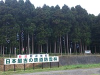 青い森鉄道、野辺地の鉄道防雪林120周年を記念してライトアップ…8月15~17日 画像